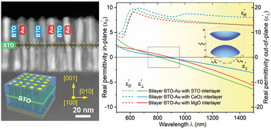 image for paper DOMH