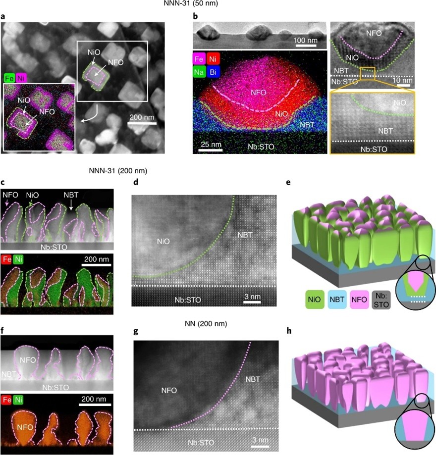imgae for paper SMSR