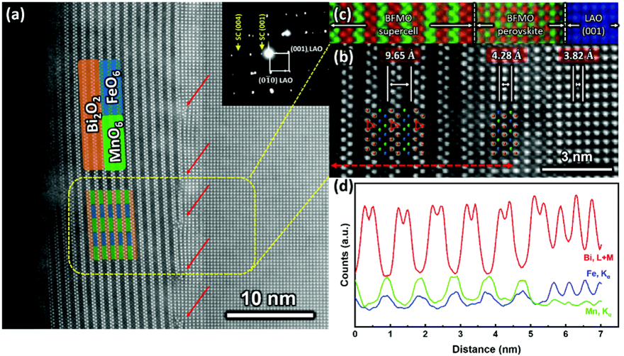 image for paper TMUB
