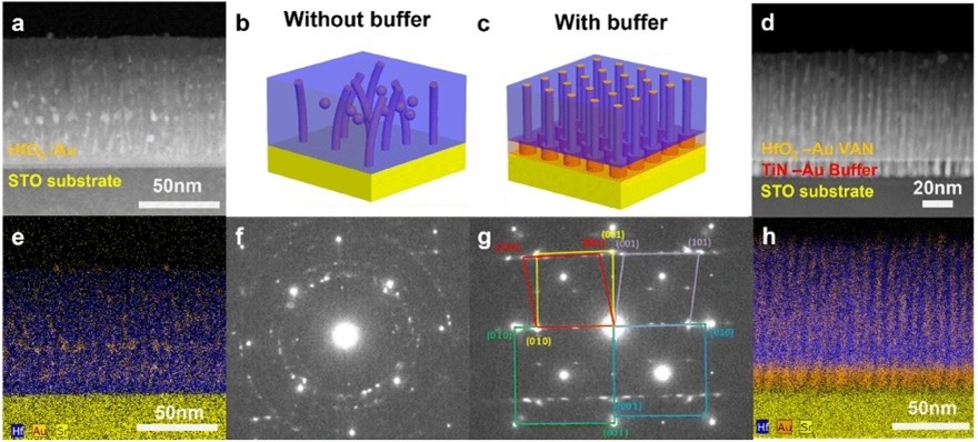 imgae for paper SHAN