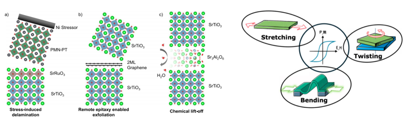 rearch field 1 image